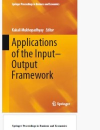 Applications of the Input–Output Framework