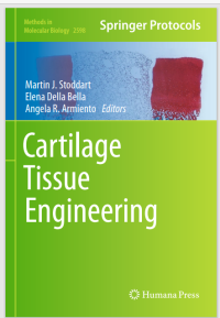 Cartilage Tissue Engineering