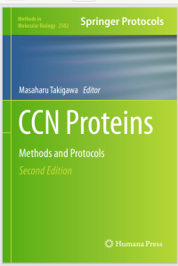 CCN Proteins: Methods and Protocols