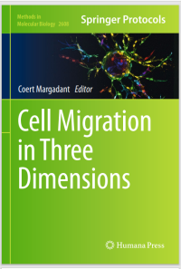 Cell Migration in Three Dimensions