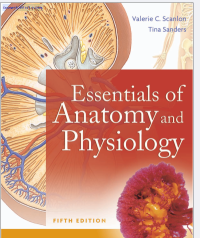 Essentials of anatomy and physiology