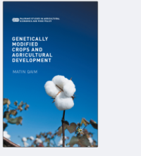 GENETICALLY M ODIFIED
CROPS AND AGRICULTURAL
DEVELOPMENT