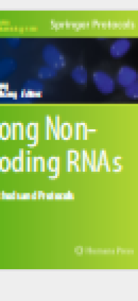 Long Non-Coding RNAMethods and Protocol