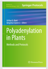 Polyadenylation in Plants