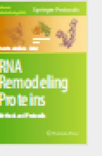 RNA Remodeling ProteinsMethods and Protocols